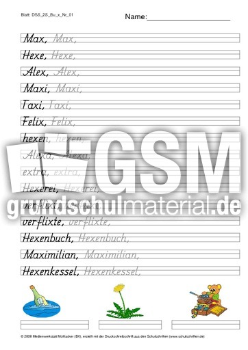 DSS_2S_Bu_x_Nr_01.pdf
